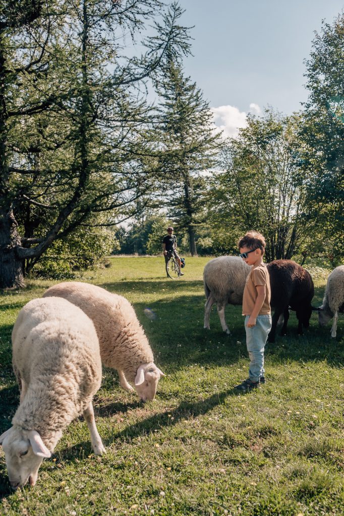 séance photo famille en pleine nature en Provence