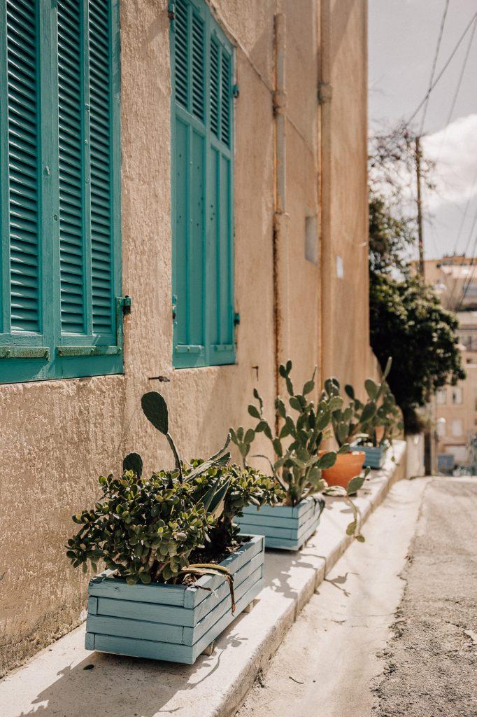 Ruelles de Malmousque décorée de plantes grasses et de cactus à Marseille