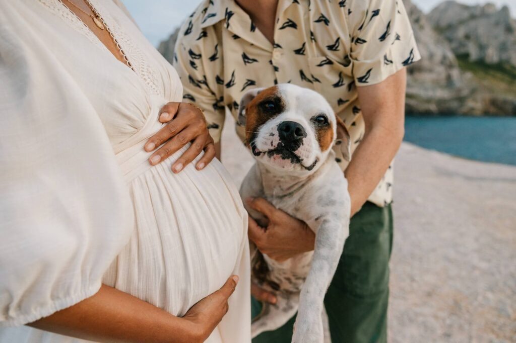 ventre de femme enceinte avec son chien lors d'une séance photo grossesse aux Goudes