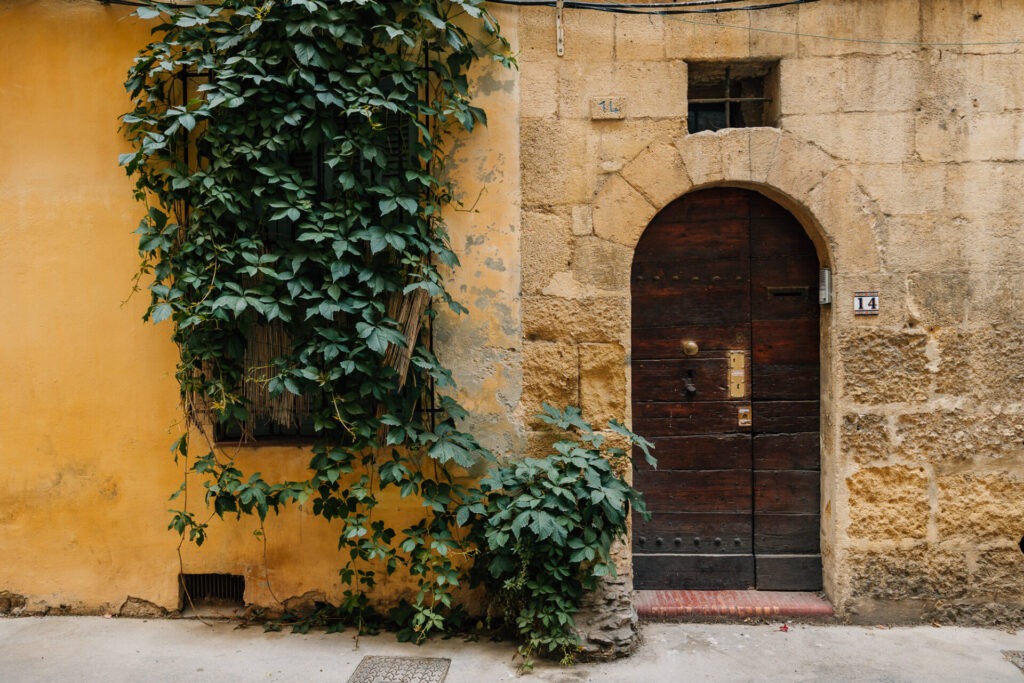 porte ancienne avec plante grimpante dans une rue d’Aix-en-Provence