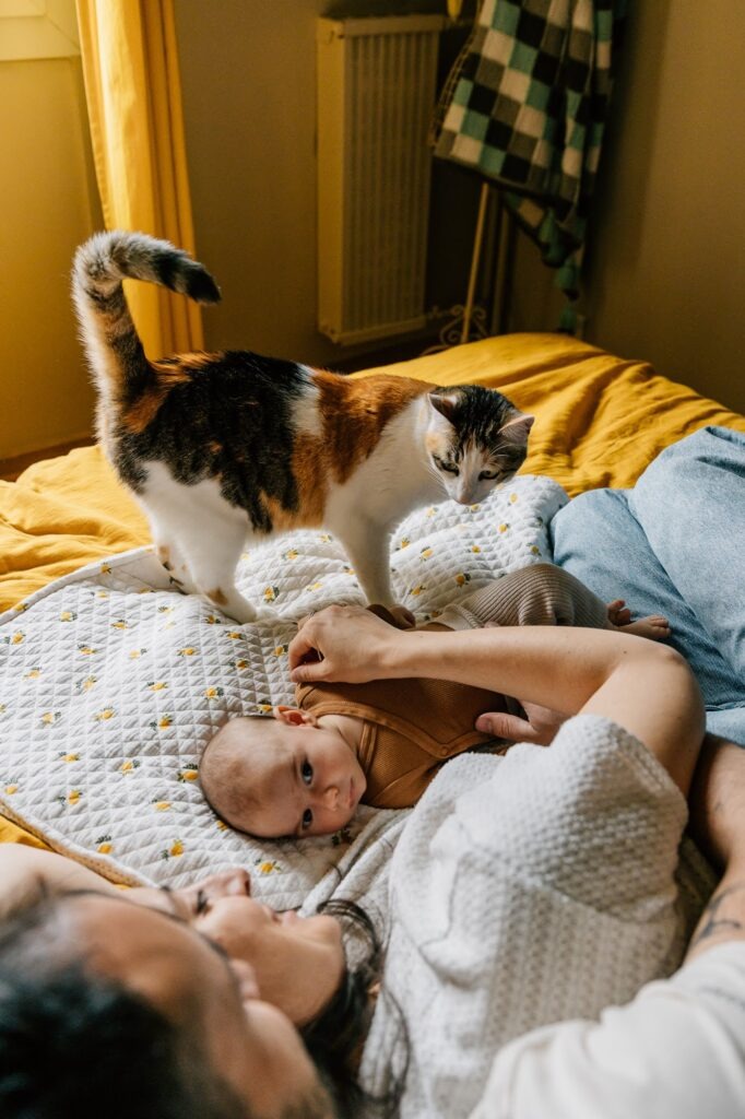 Bébé allongé sur un lit à Marseille pendant une séance photo nouveau-né à domicile avec ses parents et leur chat